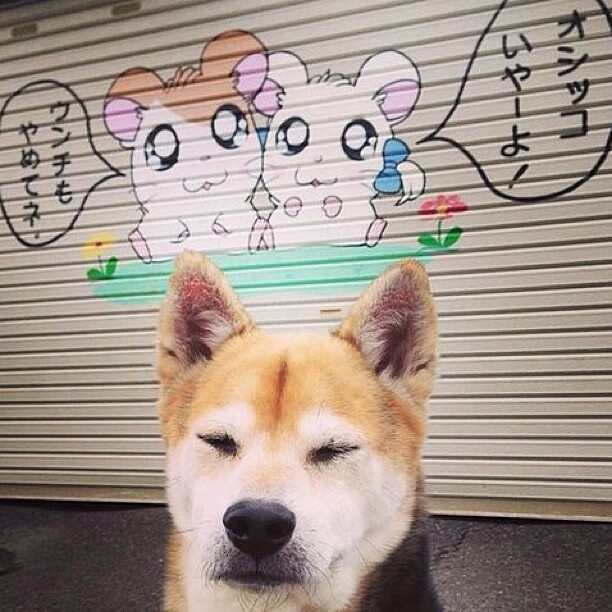 索伯鏖战红牛,一场蚍蜉撼树的史诗与新王登基的黎明