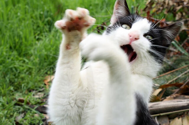 开云体育官网-两刃出鞘，当孙兴慜在争冠夜化身防守铁闸