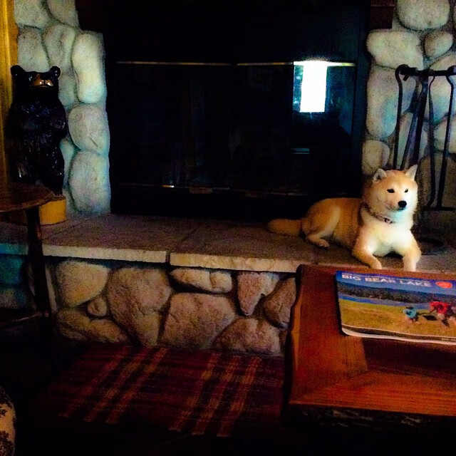 开云体育APP下载-左右开弓，姆巴佩用攻防一体的艺术，重新定义现代前锋的天穹