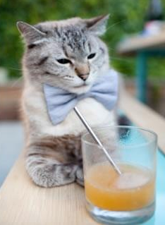 秩序与狂想,从西甲国家德比到秘鲁逆转苏格兰的足球哲学