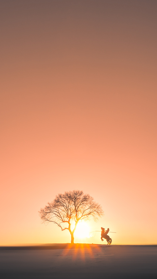 当黄潜艇遇见高原雄鹰，曼城太子降临NBA，一场席卷全球的体育跨界狂想