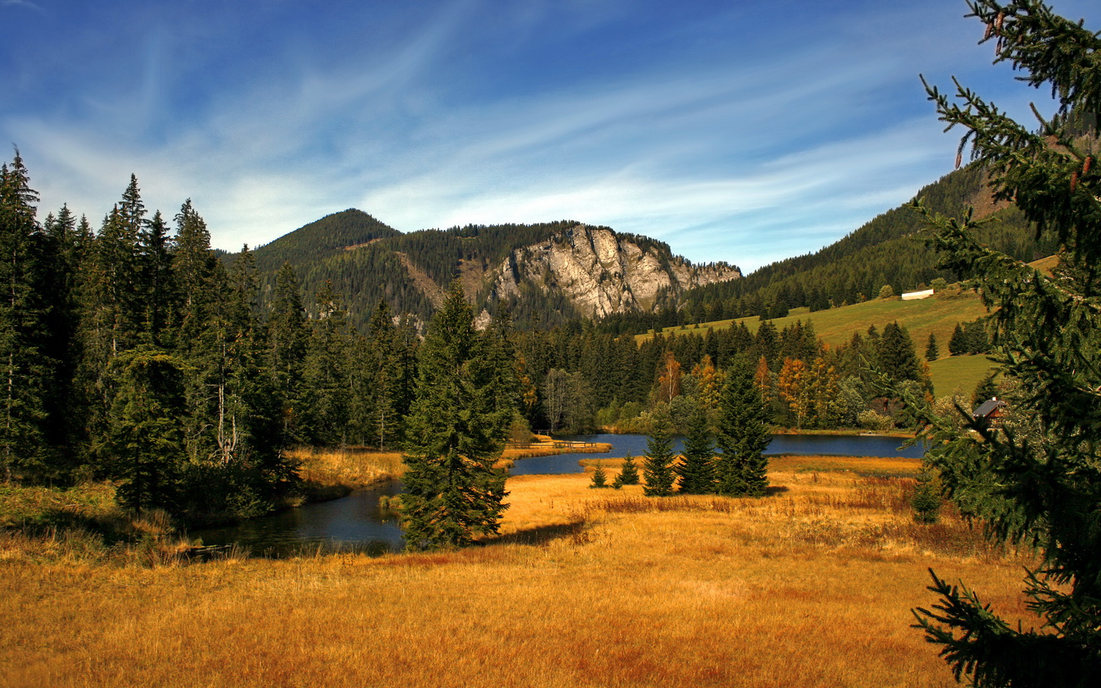 速度与魔术，F1揭幕战的喧嚣与辽宁队的韧性晋级