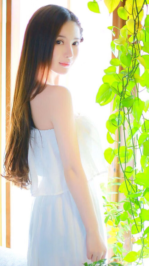 跨界风暴，黄蜂粉碎辽宁队，杰伦格林F1争冠接管比赛