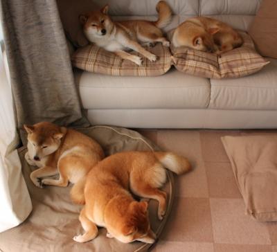 开云体育登录-权杖交接之夜，开拓者双星遮蔽水花，鹈鹕防线在詹姆斯时间中沉沦