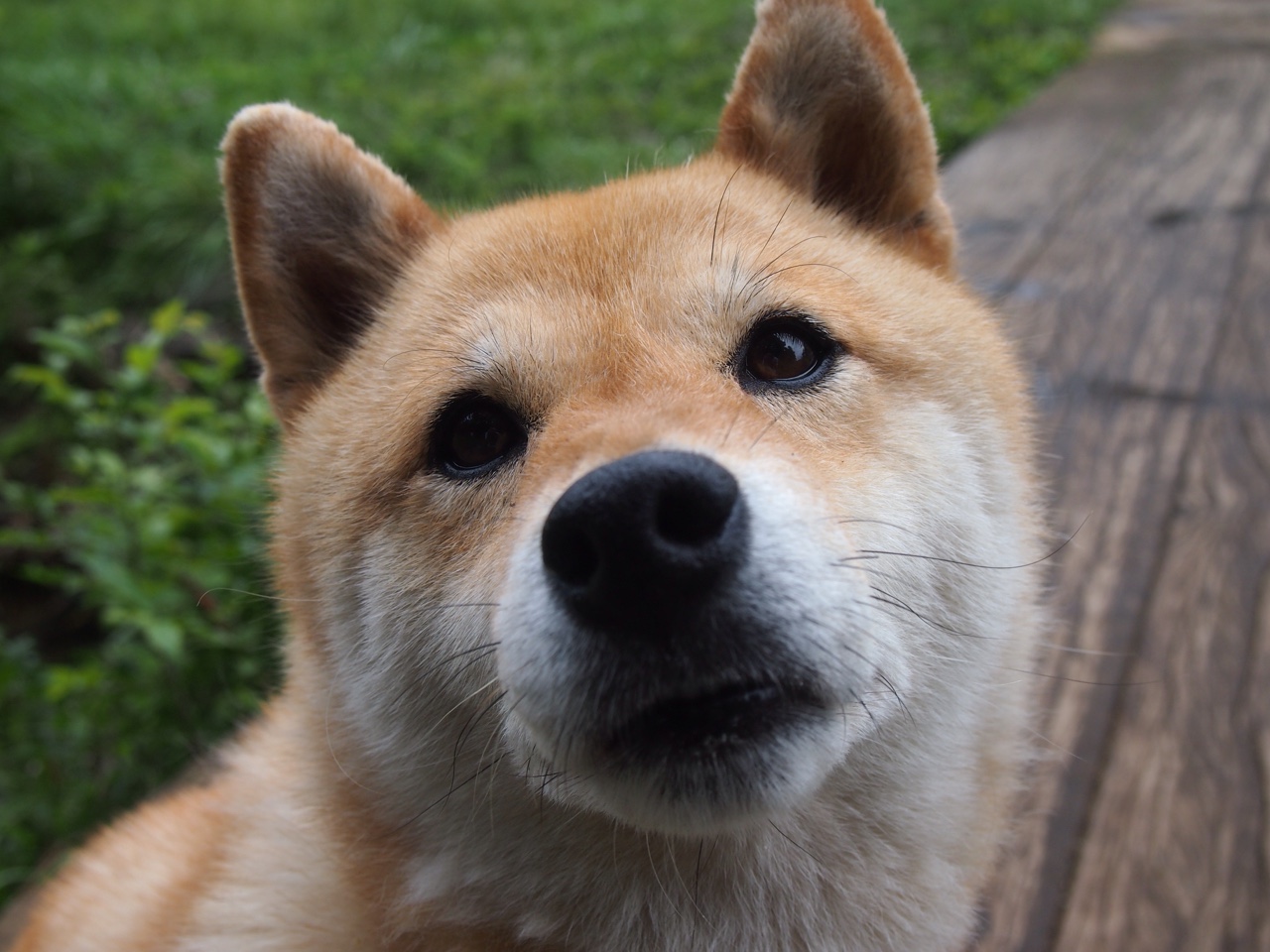 开云体育app-淬火之痛，当烈火焚城遇上冰冷铁律—复盘热火如何绞碎76人的季后赛幻梦