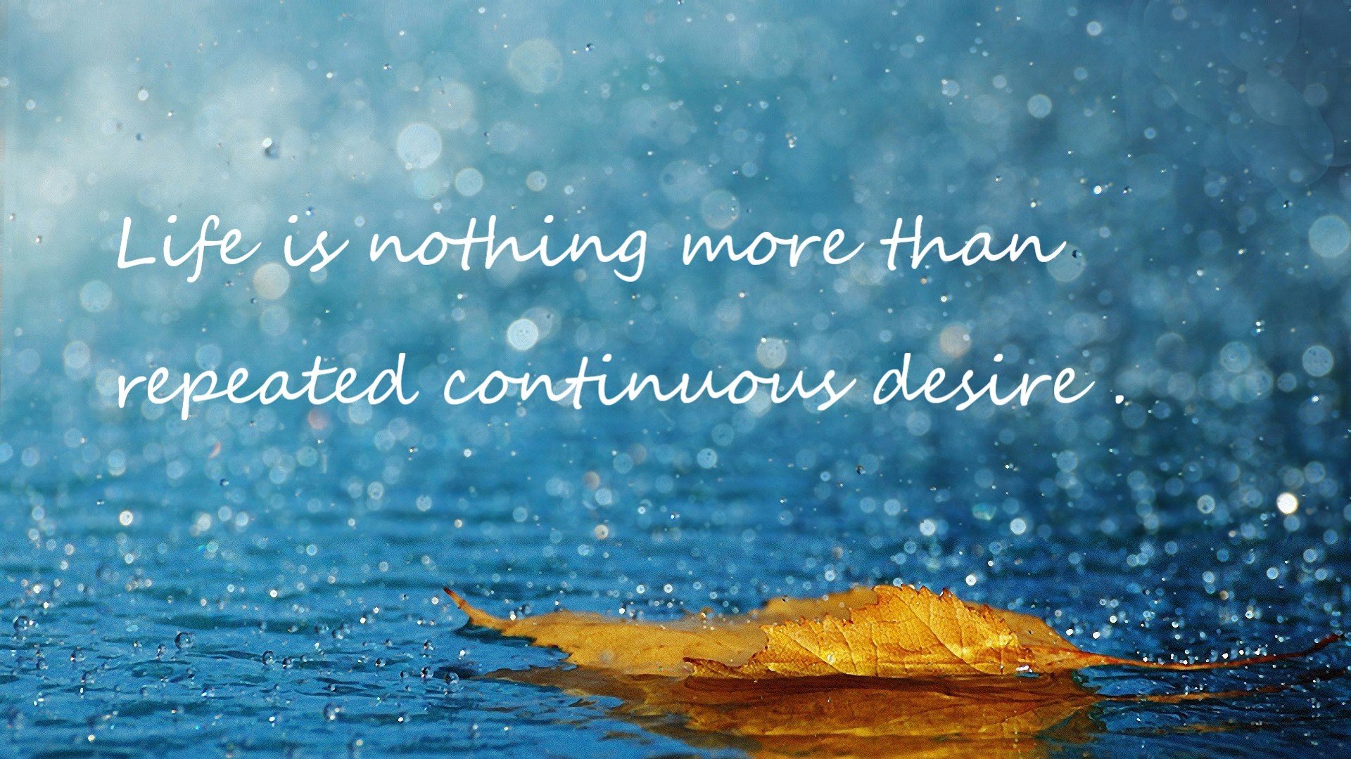 开云体育app-波兰掌控节奏 威尔士陷入困局，格纳布里一战成关键先生