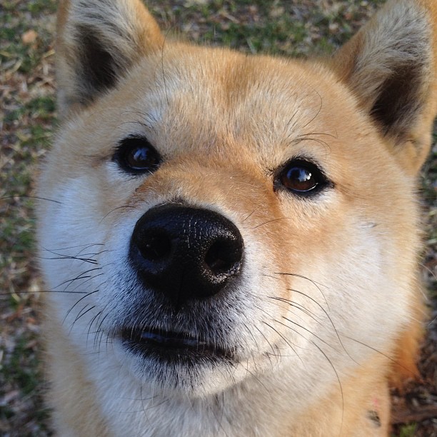 节奏为王,从山西队的黄蜂之舞到美加墨世界杯的战术棋局