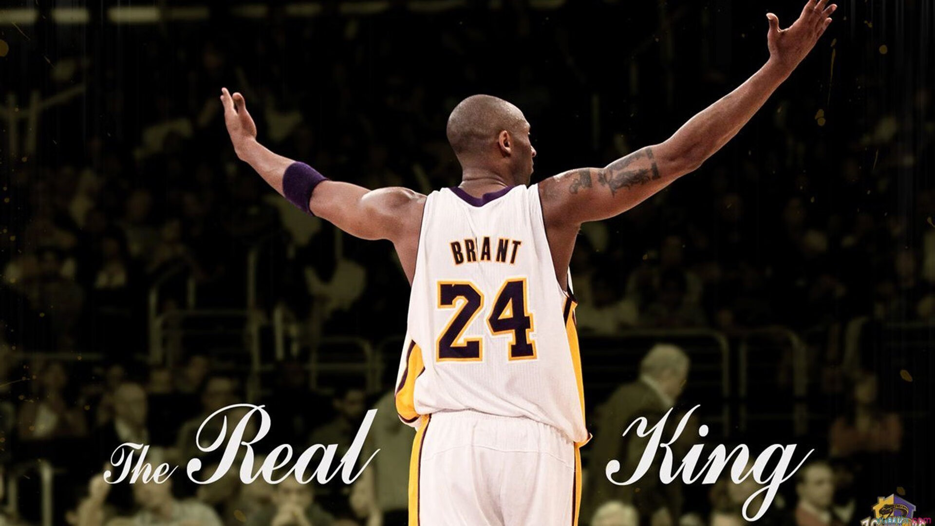 60分风暴！拉梅洛·鲍尔跨联赛降维打击，火箭与山西一战定义现代篮球极限