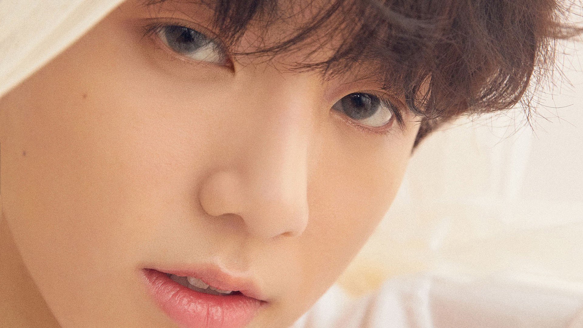 虚拟与现实的交响,爱尔兰鏖战德国的欧冠决赛焦点战