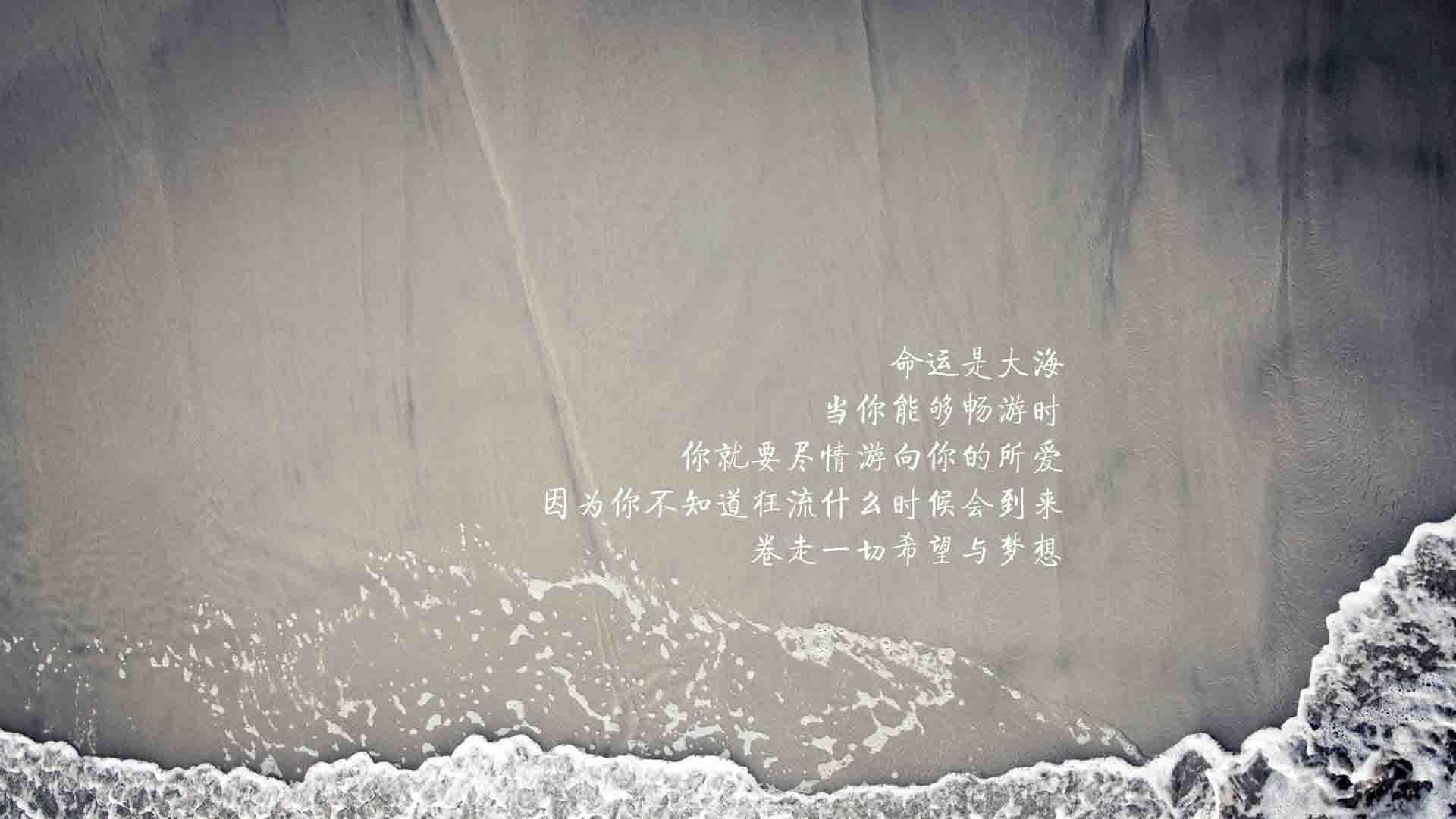 萨卡引领逆转风暴,2026世界杯C组关键战,日本队以韧性征服匈牙利